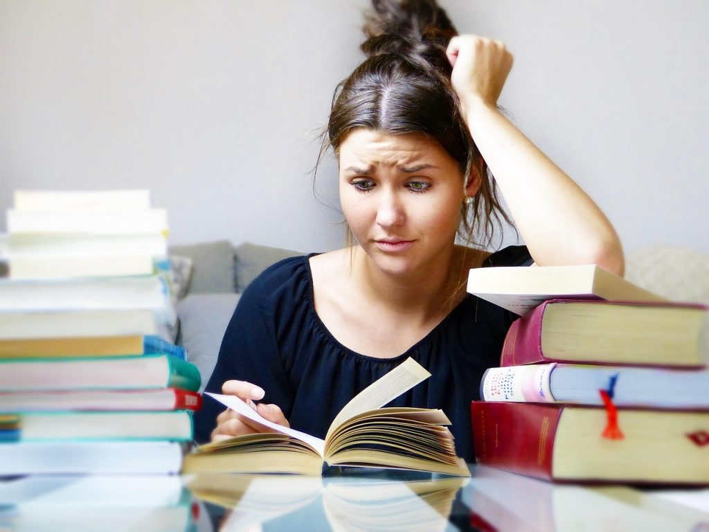 Beitragsbild zum Blog Deutschsprachige Studiengänge: Studieren in den Niederlanden