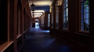 Beitragsbild eines Gangs in der Universität Amsterdam