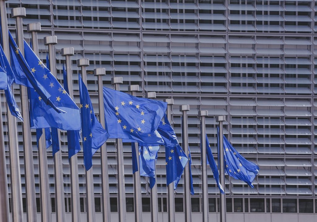 Beitrag zum Thema Politik Studium in den Niederlanden