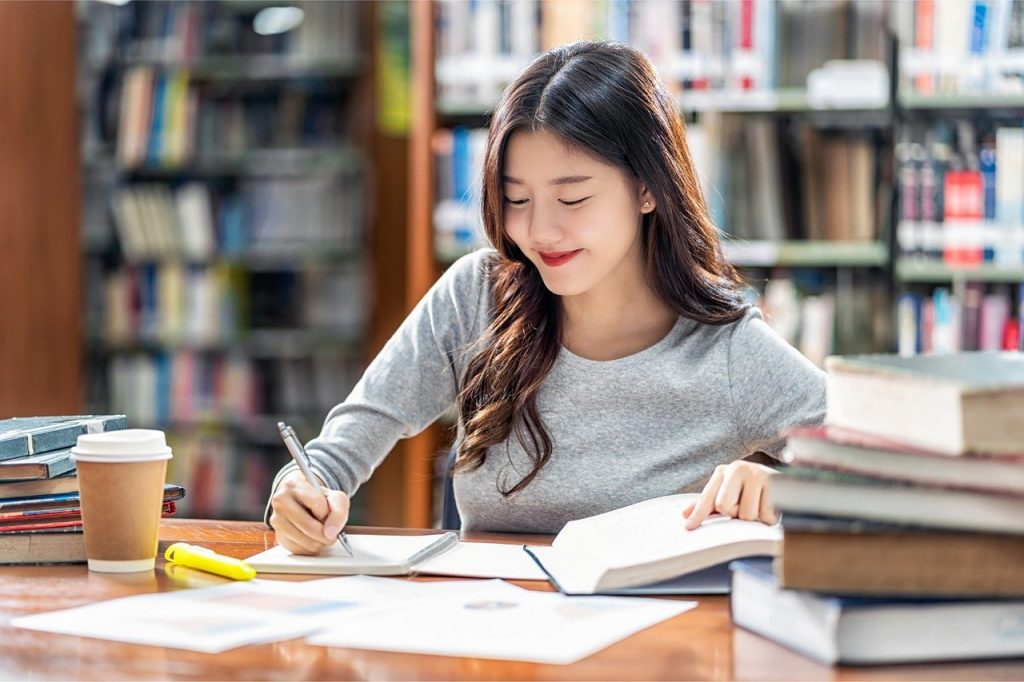 Beitragsbild zum Thema: Auf Niederländisch Studieren
